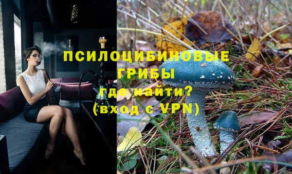гидра Балахна